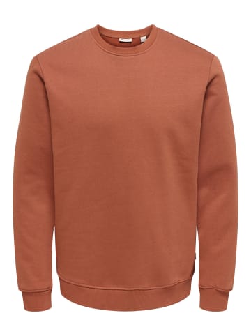 ONLY & SONS Sweatshirt in Sequoia 1