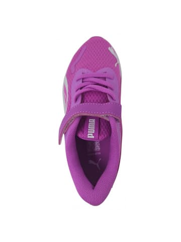 Puma Shoes Sneaker Pounce in Pink