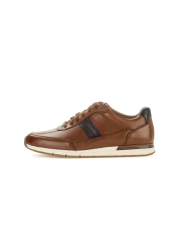 Pius Gabor Sneaker low in braun