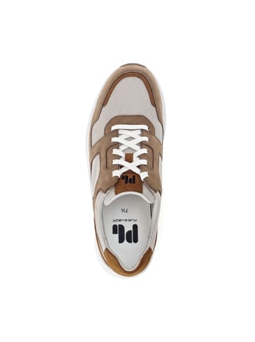 Pius Gabor Sportliche Schnürschuhe in Braun