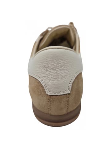 Gant Sneaker Spearclub in Beige