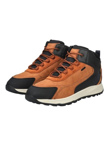 Geox Stiefelette Braun/Schwarz