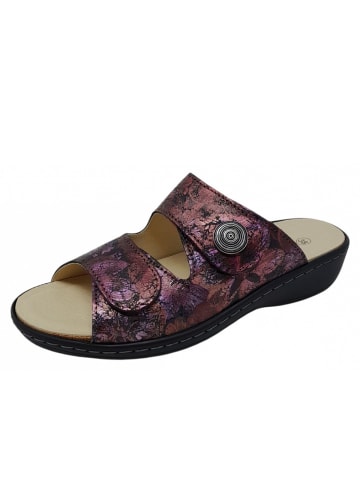 Belvida Pantolette  in Violett