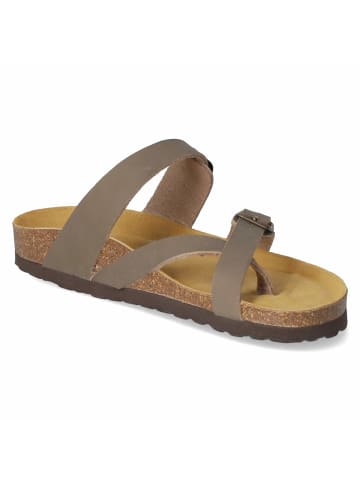 Beliana Pantolette in brown