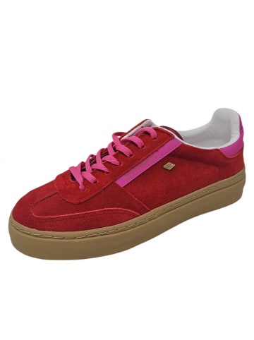 British Knights Sneaker  in Rot