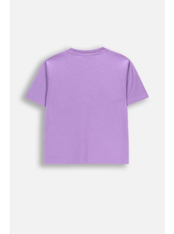 Coccodrillo Baumwoll-T-Shirt mit kurzen Ärmeln in violett