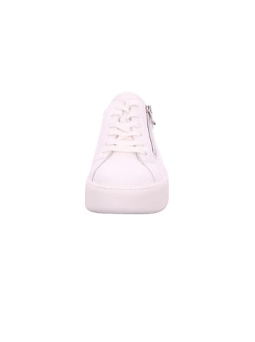 WALDLÄUFER H-Nicky H-Nicky in snow