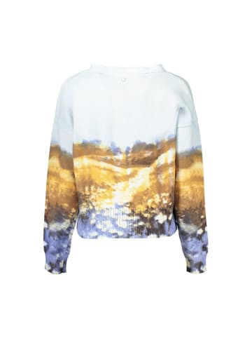 Desigual Blau Baumwolle Damen Pullover