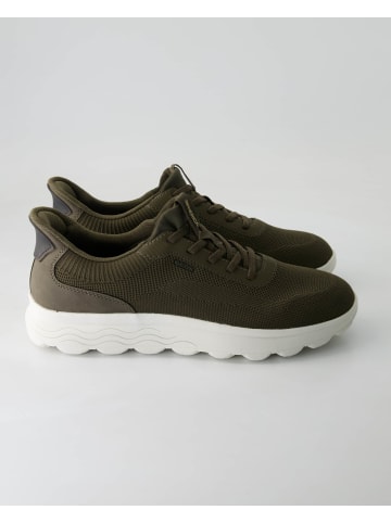 Geox Sportliche Schnürschuhe in Grün