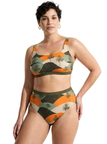 Ulla Popken Soft-BH in dunkel khaki