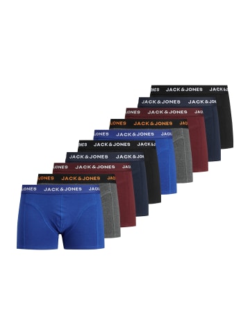 Jack & Jones Retro Short / Pant Basic in Port royal