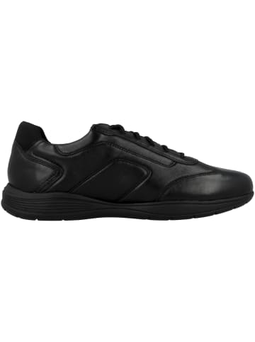 Geox Sneaker low U Spherica EC2 C in schwarz