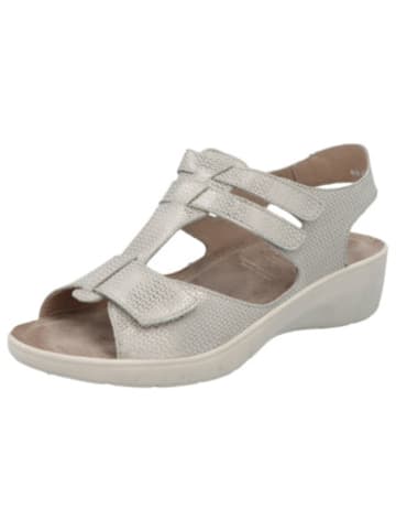 Solidus Sandalen für Damen in unifarben in uni