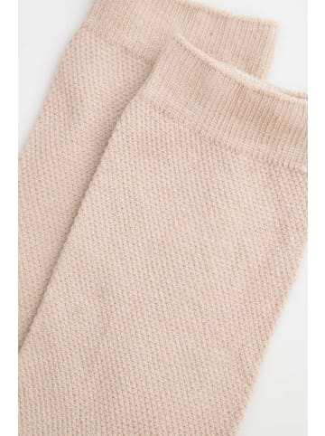 Coccodrillo Socken in beige
