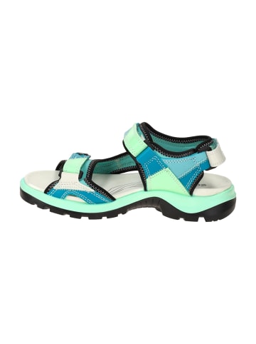 Ecco Trekkingsandalen in Blau