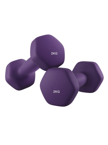 SONGMICS 2er-Set: Hanteln Stefan in Aschlila - (B)8 x (H)7.5 x (T)16 cm
