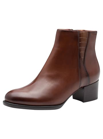 Tamaris Stiefelette in MUSCAT