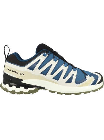 SALOMON Laufschuhe XA PRO 3D V9 GTX in dunkelblau