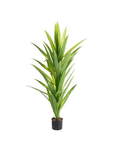Beliani Kunstpflanze DRACAENA TREE in Grün - (W) 85 x (H) 150 x (L) 85 cm
