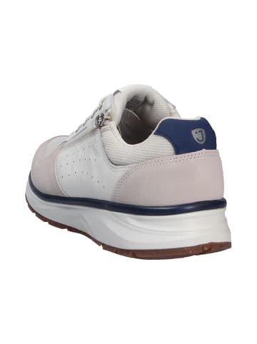 Joya SchnĆ¼rschuh DYNAMO ZIP M WHITE in weiß