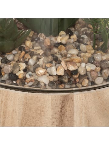 Atmosphera Créateur d'intérieur Kunstpflanze in transparent