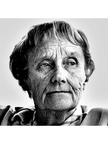 Oetinger Verlag Das entschwundene Land