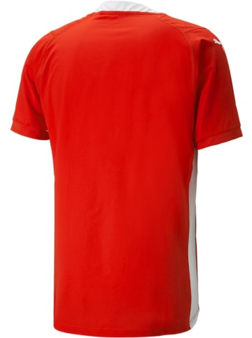 Puma T-Shirt "TeamCUP Jersey" in Rot
