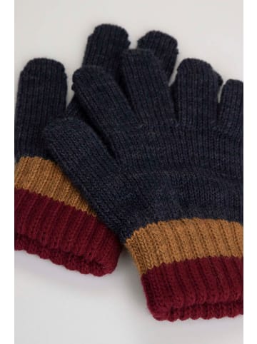 Coccodrillo Handschuhe in bunt