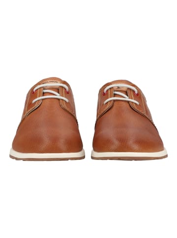 Pikolinos Businessschuhe in Braun/Weiß