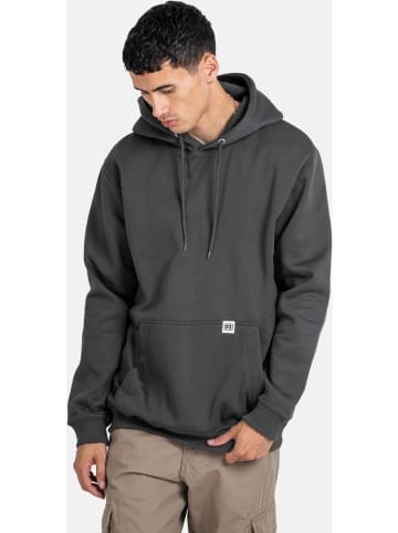 Reell Hoodie "Prior Hoodie" in Grau