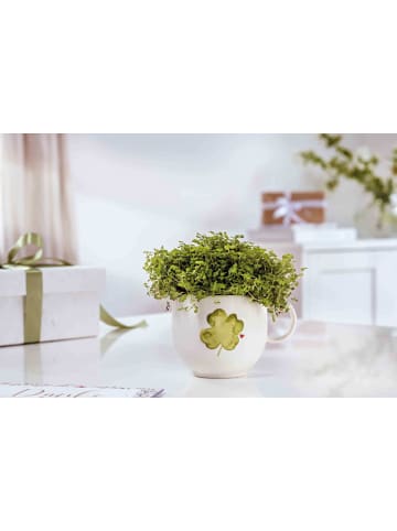 Villeroy & Boch 6er Set Henkelbecher Good Luck With Love 290 ml in weiß-grün