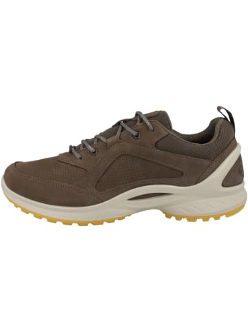Ecco Sneaker low BIOM Energi in dunkelbraun