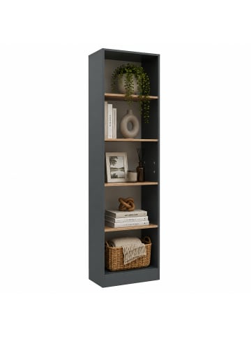 VCM Bücherregal Dilos 183 x 52 cm für Aktenordner in Anthrazit / Honig-Eiche