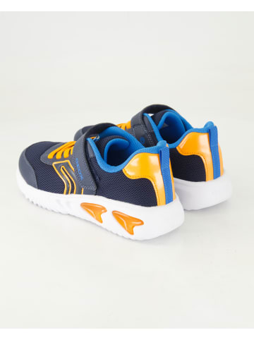 Geox Klettschuhe in Blau