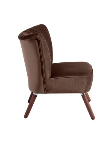 58 aufm Kessel SESSEL Kadisha Bezug Samtvelours Buche nussbaum dunkel / braun