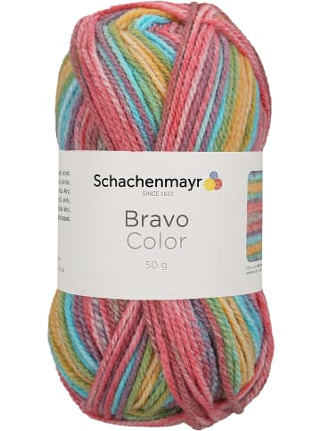 Schachenmayr since 1822 Handstrickgarne Bravo Color, 50g in Clown