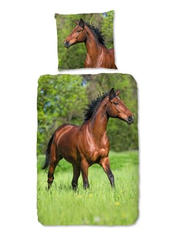 JACK 2 tlg. Renforcé Bettwäsche 135x200cm Muskel Pferd in Grün