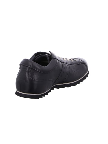 Snipe Schnürschuh in schwarz