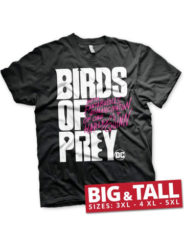 DC Birds Of Prey Hoodie in Schwarz
