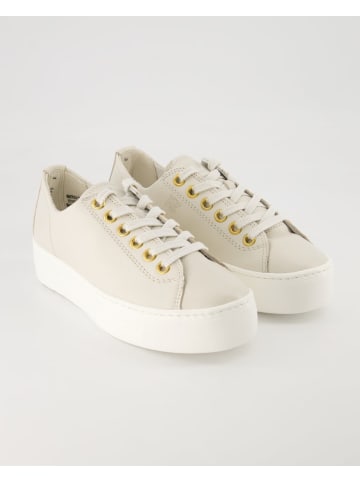 Paul Green Sneaker low in Beige