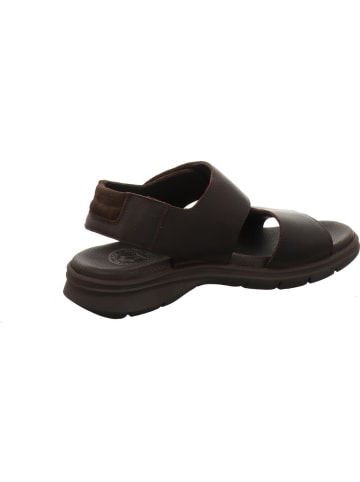 PANAMA JACK Sandale in braun