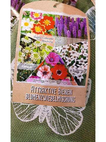 MeinVIPShop 50 x Bienenfreundliche Blumenzwiebel Mischung 