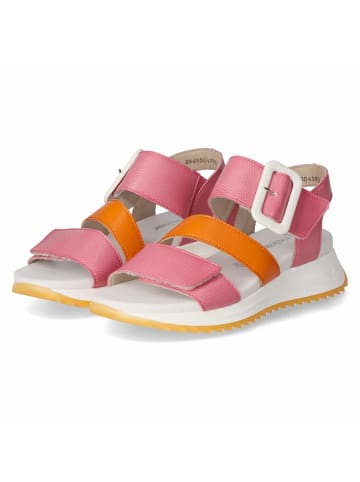 rieker Sandalette in rosa