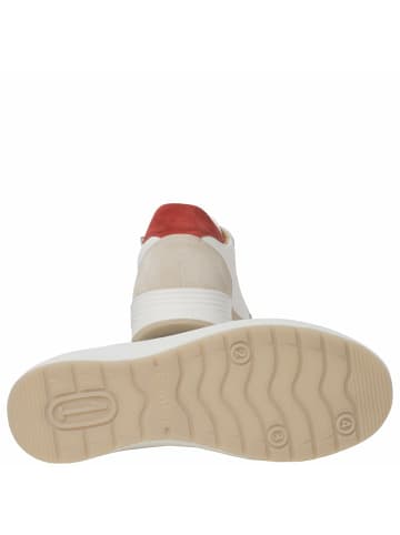 Ganter Sneaker für Damen in kombi