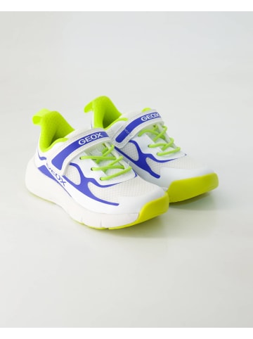 Geox Schnürschuhe in Weiß