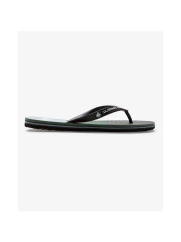 Quicksilver Flip-Flops Molokai in Mehrfarbig