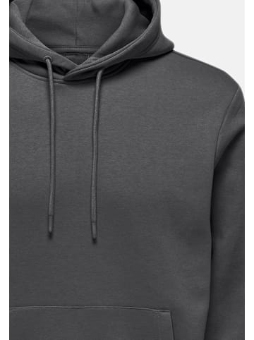 ONLY & SONS Sweatshirt / Hoodie Connor in Grey Pinstripe