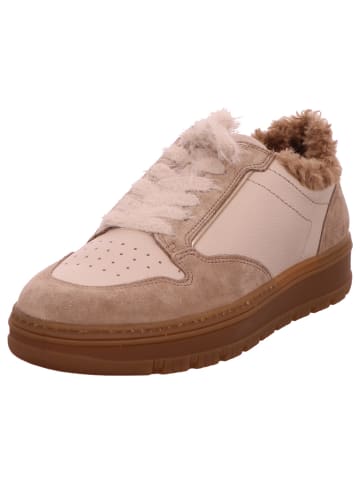 Paul Green Sneaker in beige