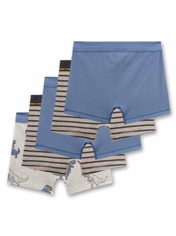 Sanetta Boxershort 5er Pack in Blau/Grau