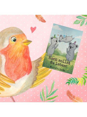 Mr. & Mrs. Panda Glückwunschkarte Koalas Geburtstag Design mit S... in Weiß